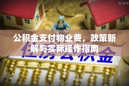 宣恩公积金支付物业费，政策新解与实际操作指南