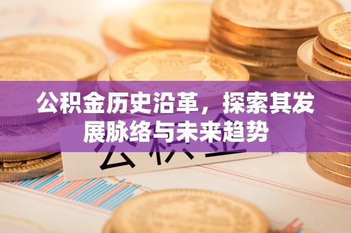 宣恩公积金历史沿革，探索其发展脉络与未来趋势