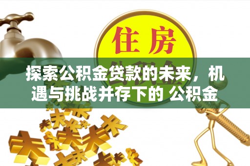 宣恩探索公积金贷款的未来，机遇与挑战并存下的 公积金贷款风险防控