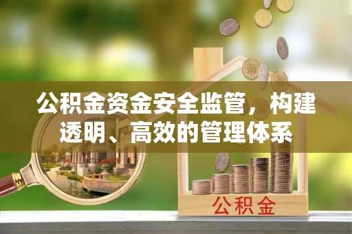 宣恩公积金资金安全监管，构建透明、高效的管理体系