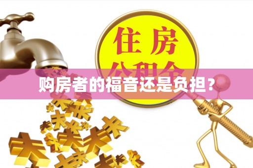 宣恩购房者的福音还是负担？