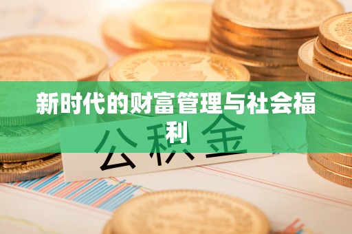 宣恩新时代的财富管理与社会福利