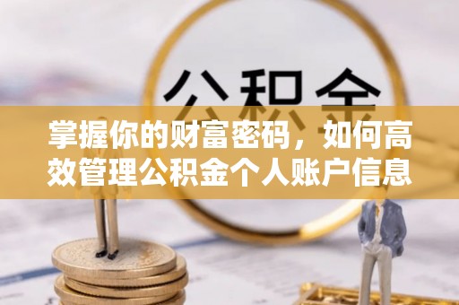 宣恩掌握你的财富密码，如何高效管理公积金个人账户信息