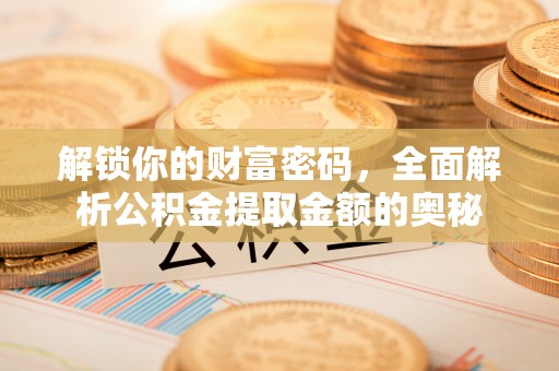 宣恩解锁你的财富密码，全面解析公积金提取金额的奥秘
