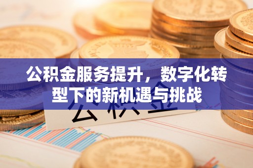 宣恩公积金服务提升，数字化转型下的新机遇与挑战