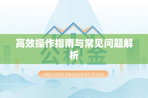 宣恩高效操作指南与常见问题解析