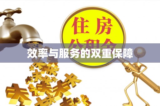 宣恩效率与服务的双重保障
