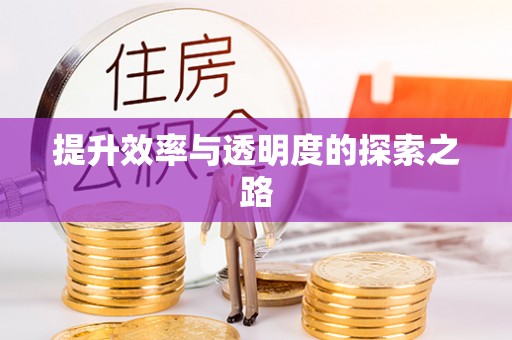 宣恩提升效率与透明度的探索之路
