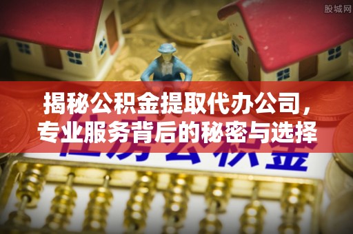 宣恩揭秘公积金提取代办公司，专业服务背后的秘密与选择指南