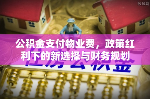 宣恩公积金支付物业费，政策红利下的新选择与财务规划