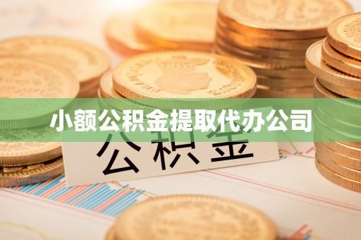 宣恩小额公积金提取代办公司