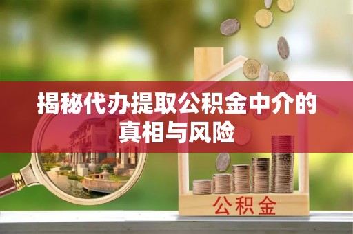 宣恩揭秘代办提取公积金中介的真相与风险