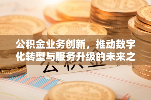 宣恩公积金业务创新，推动数字化转型与服务升级的未来之路