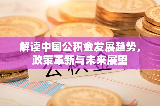 宣恩解读中国公积金发展趋势，政策革新与未来展望
