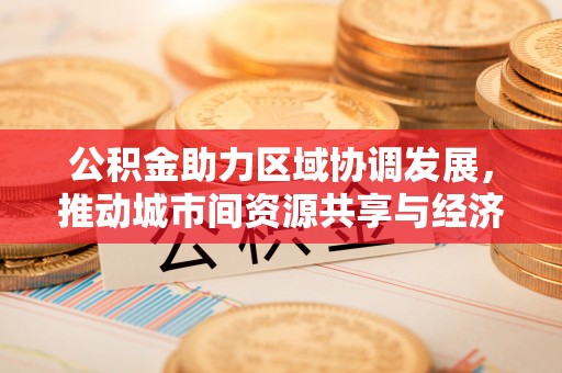 宣恩公积金助力区域协调发展，推动城市间资源共享与经济均衡发展