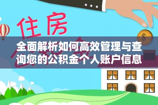 宣恩全面解析如何高效管理与查询您的公积金个人账户信息