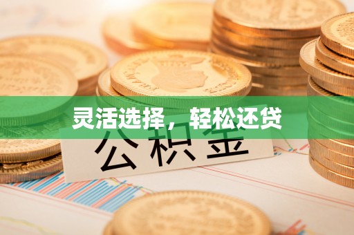 宣恩灵活选择，轻松还贷