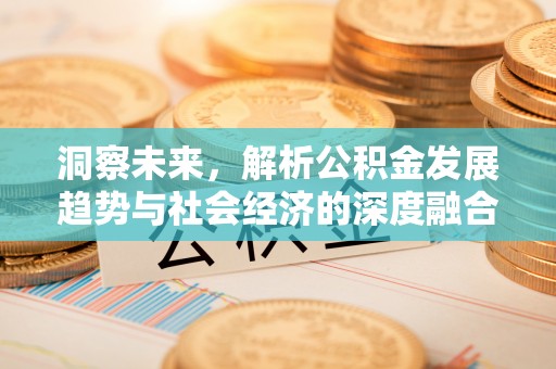 宣恩洞察未来，解析公积金发展趋势与社会经济的深度融合