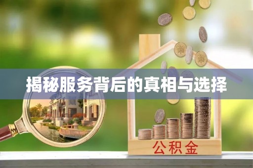 宣恩揭秘服务背后的真相与选择