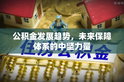 宣恩公积金发展趋势，未来保障体系的中坚力量