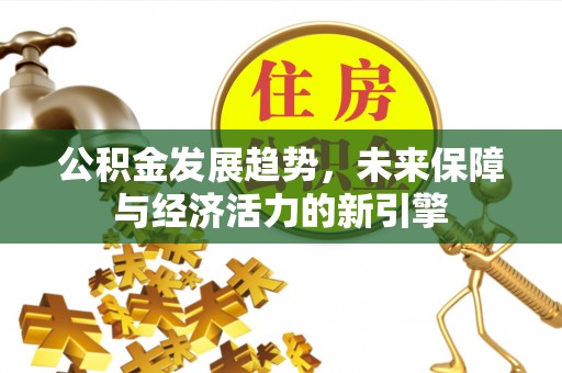 宣恩公积金发展趋势，未来保障与经济活力的新引擎