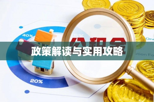 宣恩政策解读与实用攻略