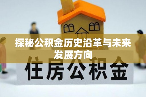 宣恩探秘公积金历史沿革与未来发展方向
