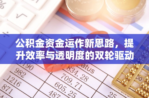 宣恩公积金资金运作新思路，提升效率与透明度的双轮驱动
