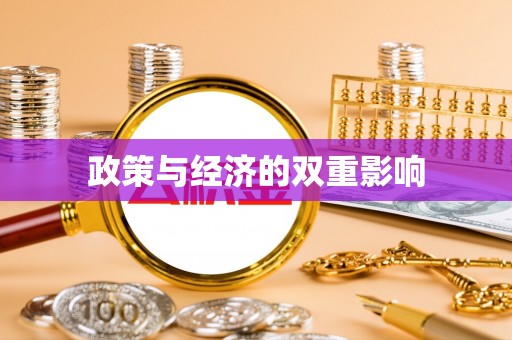 宣恩政策与经济的双重影响