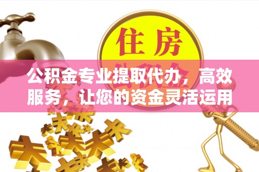 宣恩公积金专业提取代办，高效服务，让您的资金灵活运用