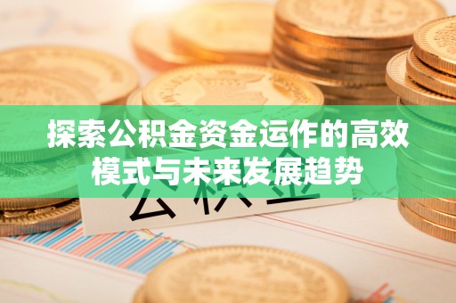 宣恩探索公积金资金运作的高效模式与未来发展趋势