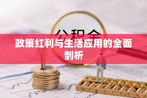 宣恩政策红利与生活应用的全面剖析