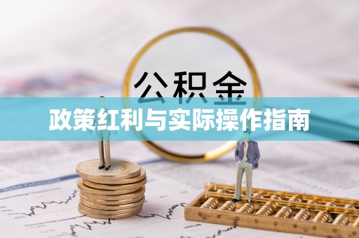 宣恩政策红利与实际操作指南