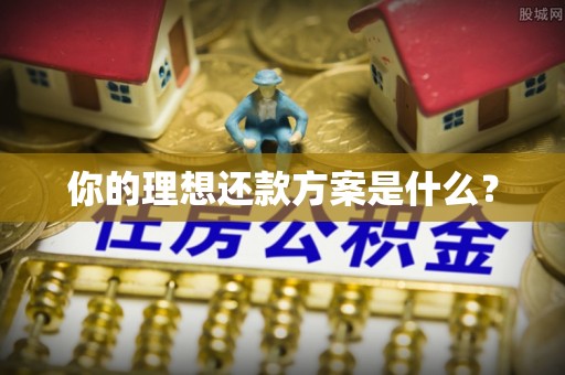 宣恩你的理想还款方案是什么？