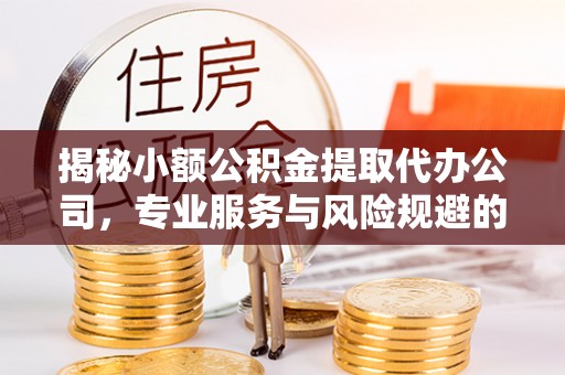 宣恩揭秘小额公积金提取代办公司，专业服务与风险规避的平衡艺术