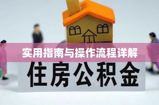 宣恩实用指南与操作流程详解