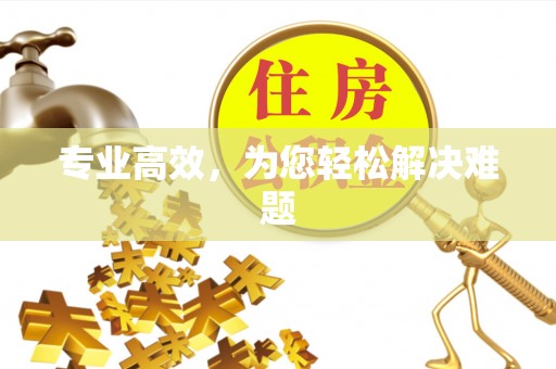 宣恩专业高效，为您轻松解决难题