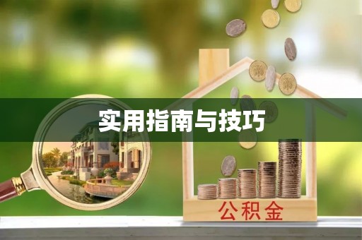 宣恩实用指南与技巧