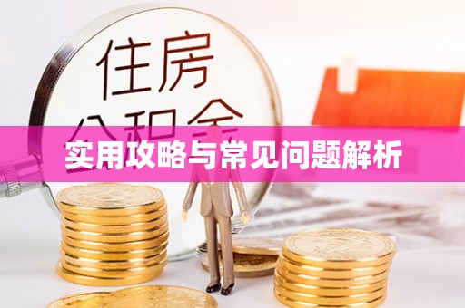 宣恩实用攻略与常见问题解析