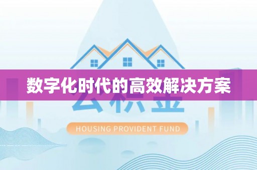 宣恩数字化时代的高效解决方案