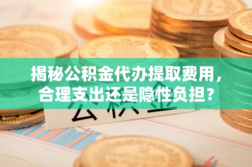 宣恩揭秘公积金代办提取费用，合理支出还是隐性负担？