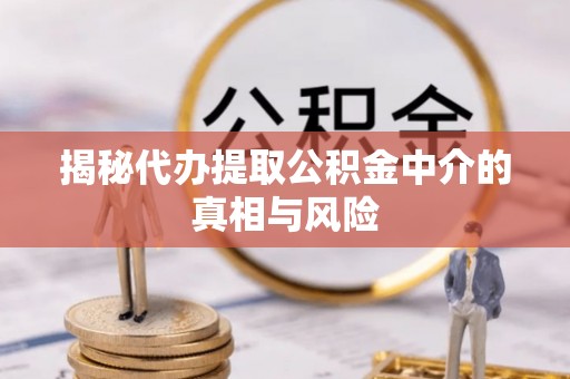 宣恩揭秘代办提取公积金中介的真相与风险
