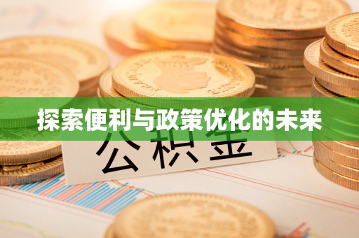 宣恩探索便利与政策优化的未来