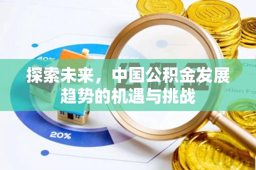 宣恩探索未来，中国公积金发展趋势的机遇与挑战