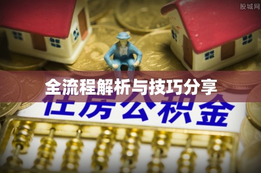 宣恩全流程解析与技巧分享