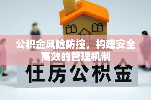 宣恩公积金风险防控，构建安全高效的管理机制