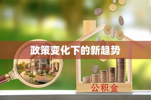 宣恩政策变化下的新趋势