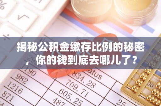 宣恩揭秘公积金缴存比例的秘密，你的钱到底去哪儿了？