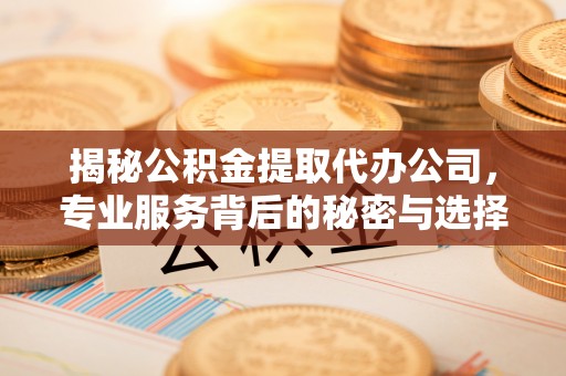 宣恩揭秘公积金提取代办公司，专业服务背后的秘密与选择指南