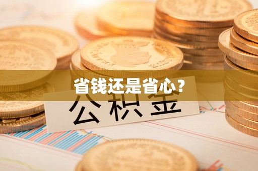 宣恩省钱还是省心？